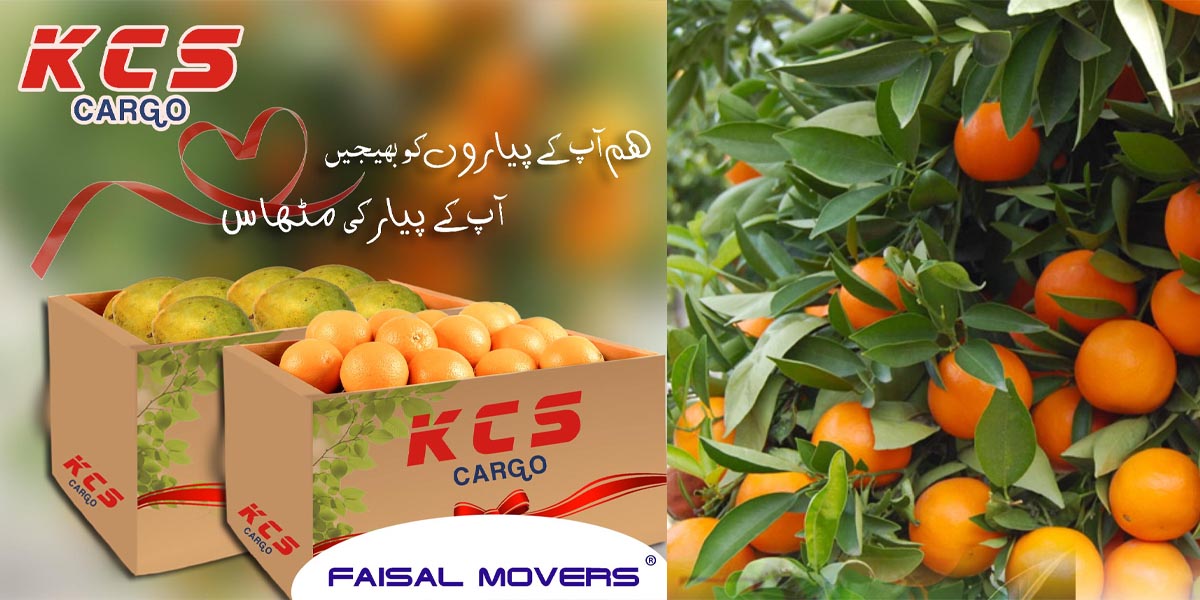 Faisal Movers KCS Cargo Service